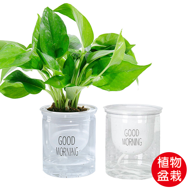 網美早安花盆懶人花盆多肉花盆多肉植物盆栽自動澆水花盆濾水盆盆栽透明花盆 H0407 蝦皮購物