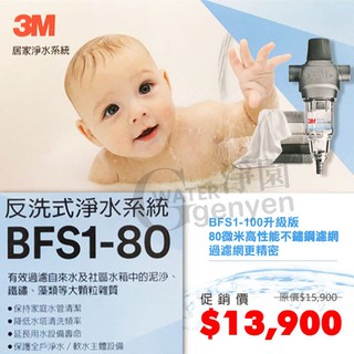 3M BFS1-80 水塔過濾反洗式淨水系統- 有效去除泥沙鐵鏽保持水管清潔