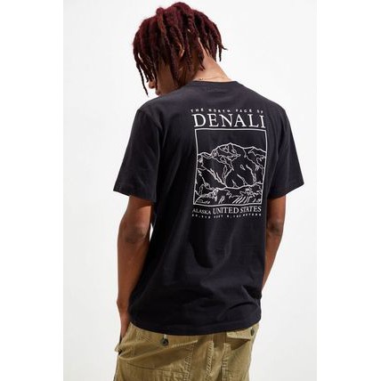 the north face denali t shirt