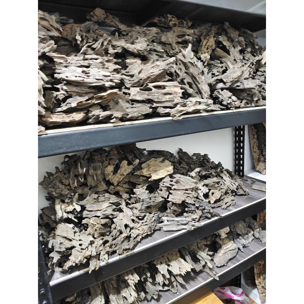 奇石老木 手挑精選造型沉木已殺菌除蟲適合寵物攀爬水族造景擺飾沉木流木可參考蝦木m 蝦皮購物