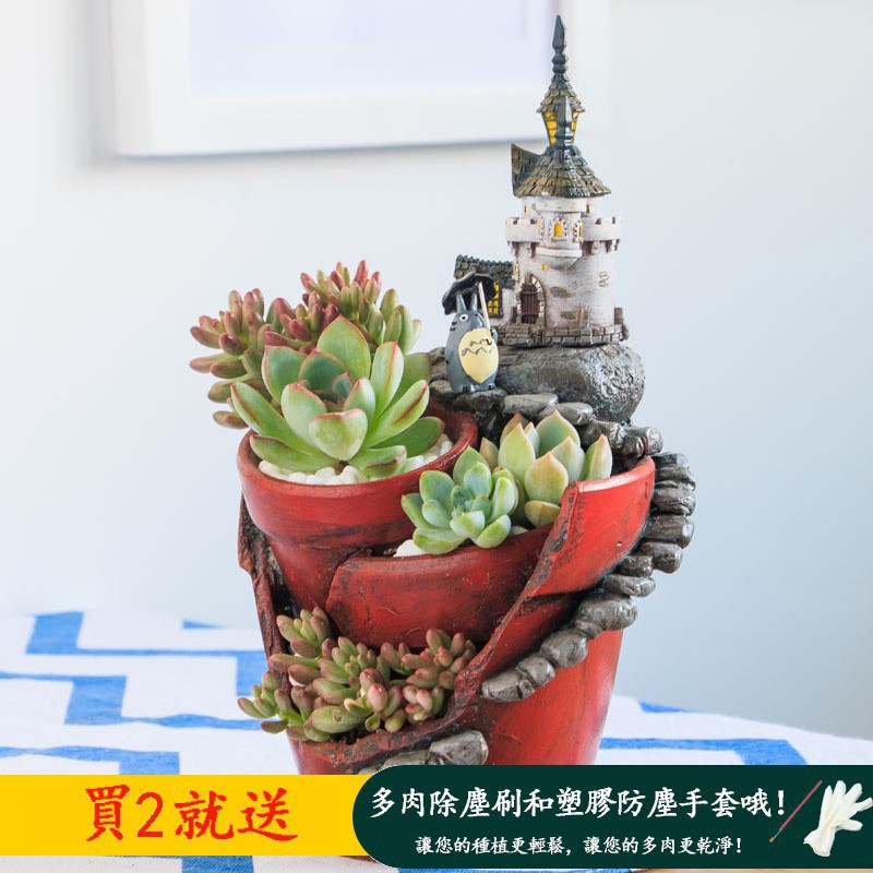 多肉植物盆栽花器 拍賣與ptt推薦商品 21年2月 飛比價格
