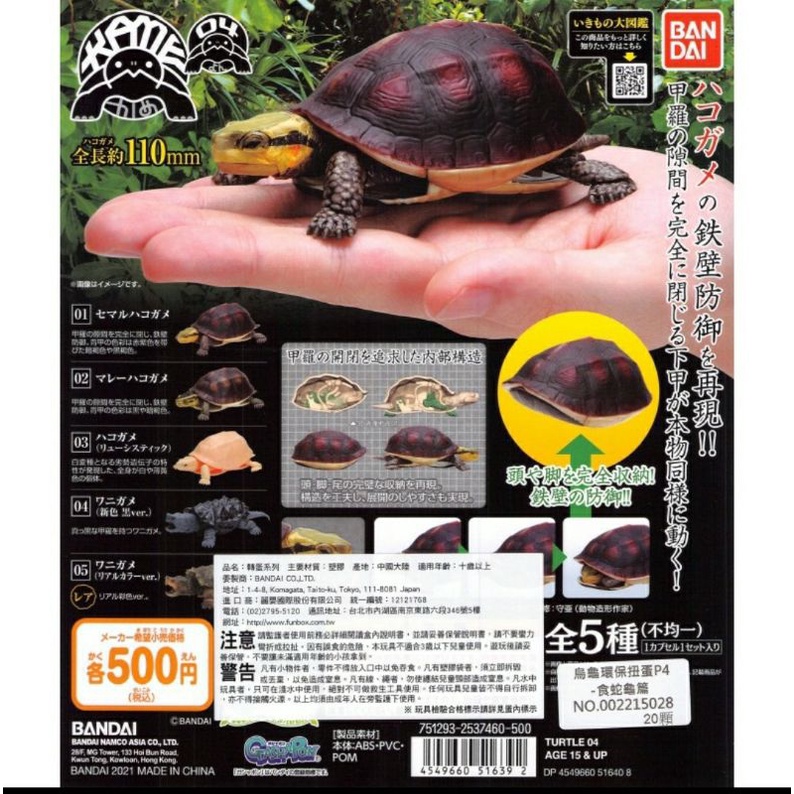 BANDAI 烏龜環保扭蛋P4-食蛇龜篇 鱷龜(黑)