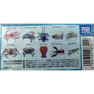T-arts yujin 原色甲殼類 蝦蟹改訂版 毛緣扇蝦
