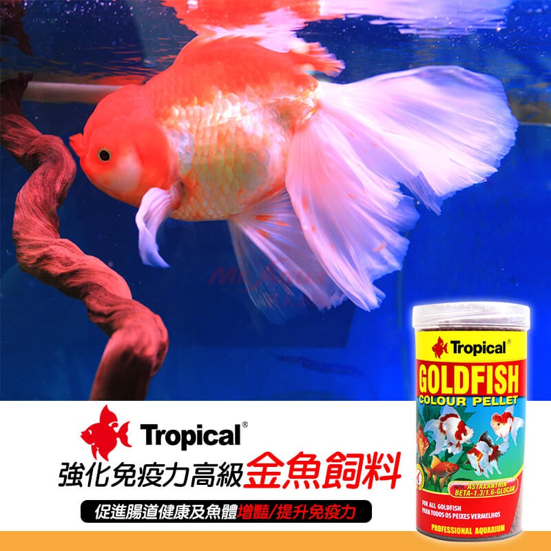 春日水族 德比克強化免疫力高級金魚飼料 浮水性 獅頭藍壽紅帽琉金土佐金tropical 蝦皮購物