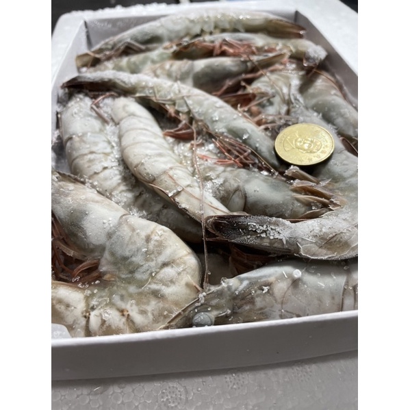 [Fruits de mer] 活凍白蝦21/25 急速冷凍