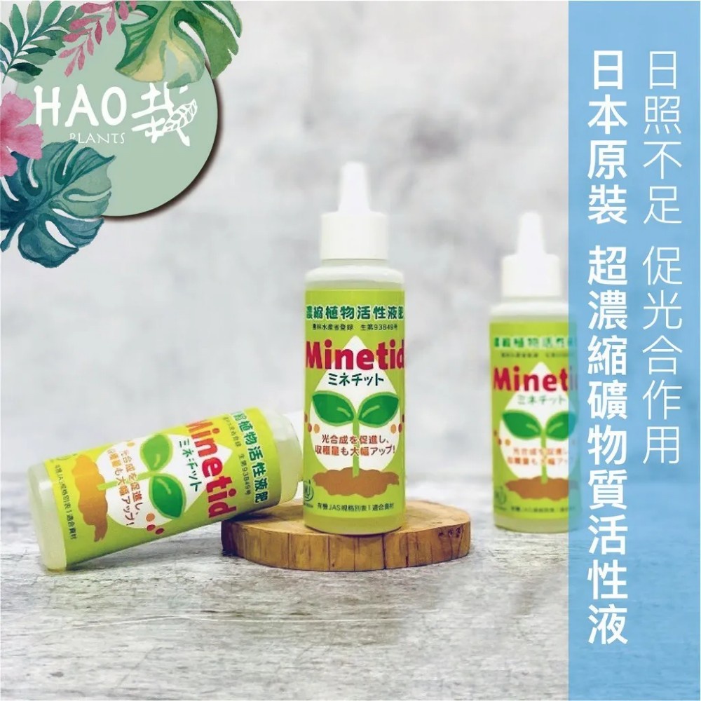 日本原裝超濃縮礦物質植物活性液100ml 日照不足促光合作用 代購 Hao Plants 現貨速發 蝦皮購物