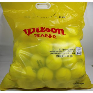 <英喬伊體育>WILSON 無壓練習球 60入