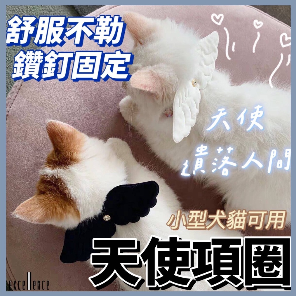 Let S狗 天使翅膀項圈寵物項圈貓咪項圈小型犬項圈牽引項圈狗狗項圈造型項圈翅膀造型項圈項圈貓項圈 蝦皮購物