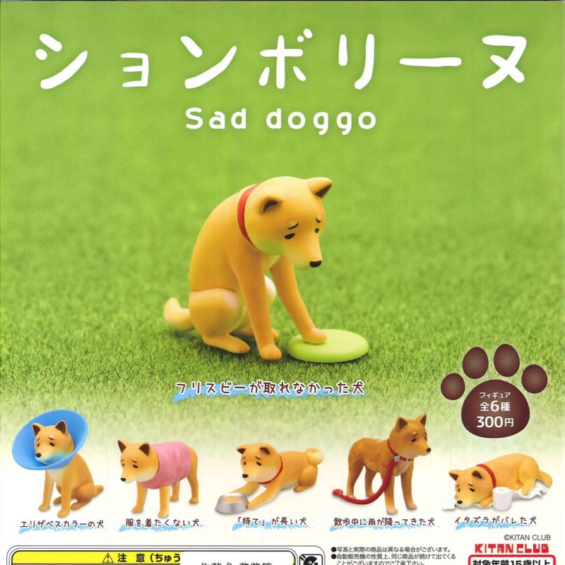 扭蛋部落 現貨秒發 Kitan 轉蛋扭蛋失落犬 柴柴篇失望傷心犬傷心狗傷心柴哀傷狗狗全6款 蝦皮購物
