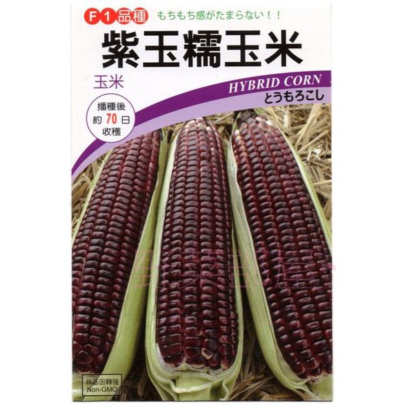 【萌田種子~】N12 紫玉糯玉米種子5公克 , 有甜度 , 品質香Q , 每包16元~