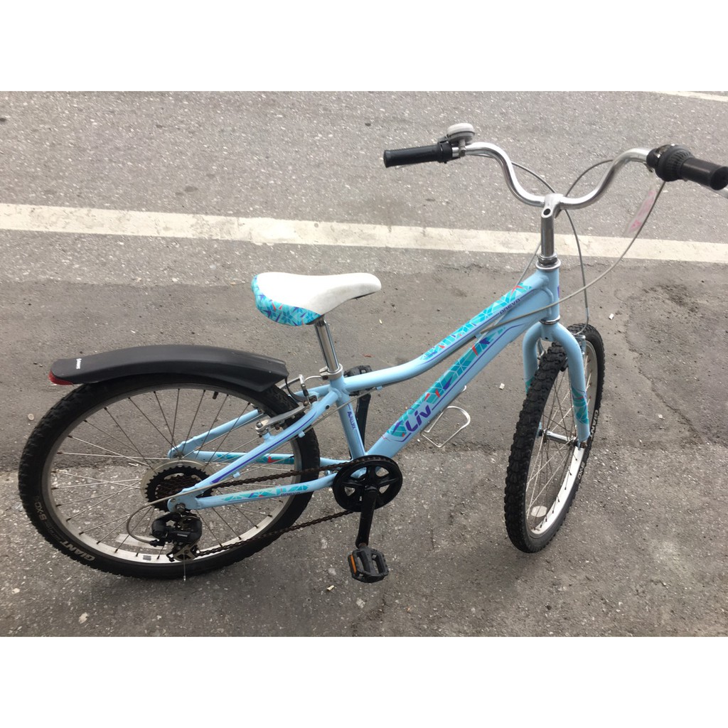 giant areva 24 inch bike