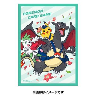 [ALG 卡牌專門] 寶可夢 PTCG 寶可夢中心 定期便限定 皮卡丘 噴火龍 色違 卡套 64張入
