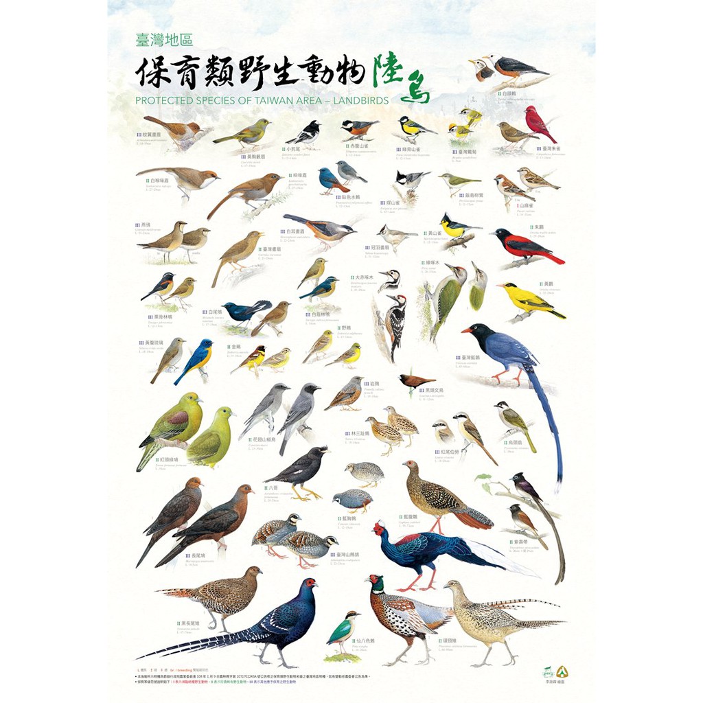 臺灣地區保育類野生動物圖鑑海報 鳥類篇 3張1套 林務局 政府出版品 蝦皮購物