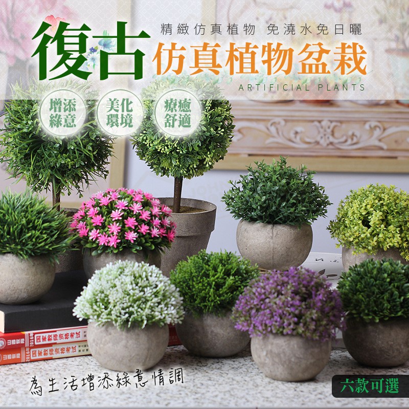 苔球 優惠推薦 21年5月 蝦皮購物台灣