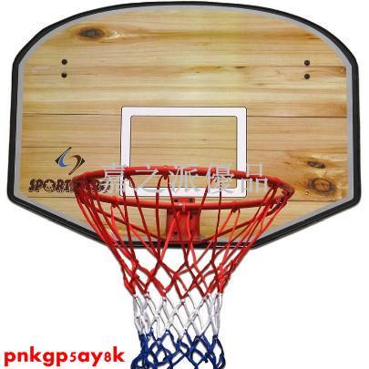 嘉之派 壁掛式籃球板標準籃框家用室內外兒童籃板家居裝飾成人籃筐籃球筐