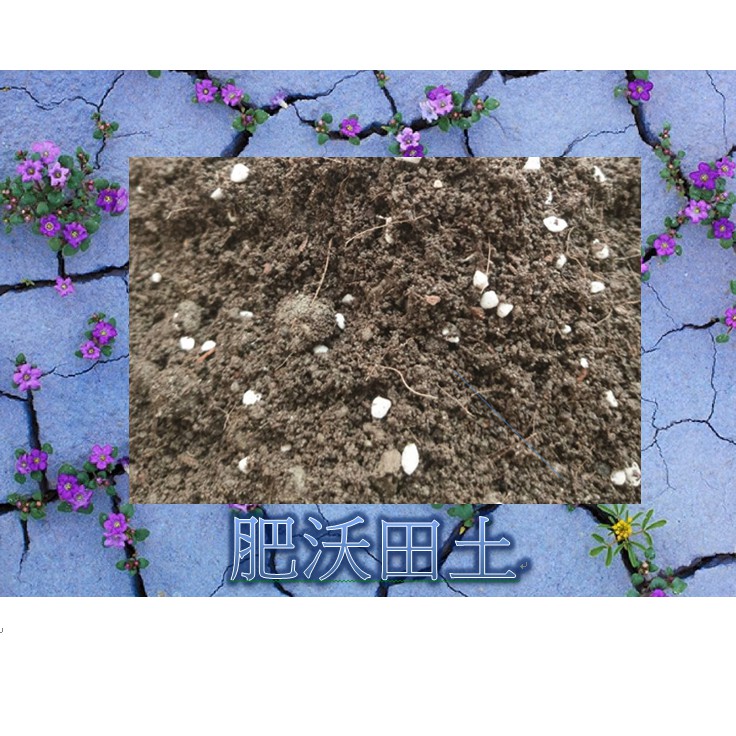 萬用土 優質肥沃田土 栽培土 一般植物皆可使用好花土cp值超高 蝦皮購物