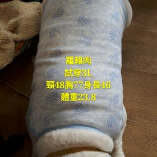 下標前請先詢問庫存現貨HONGHONGPET保暖背心大型犬小型犬泰迪比熊春秋寵物狗衣服單層大狗衣服熊熊寵物精品