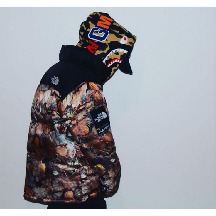 supreme the north face leaves