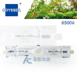 【AC草影】ODYSSEA 奧德賽 HQI金屬鹵素燈泡 6500K（150W）【一個】