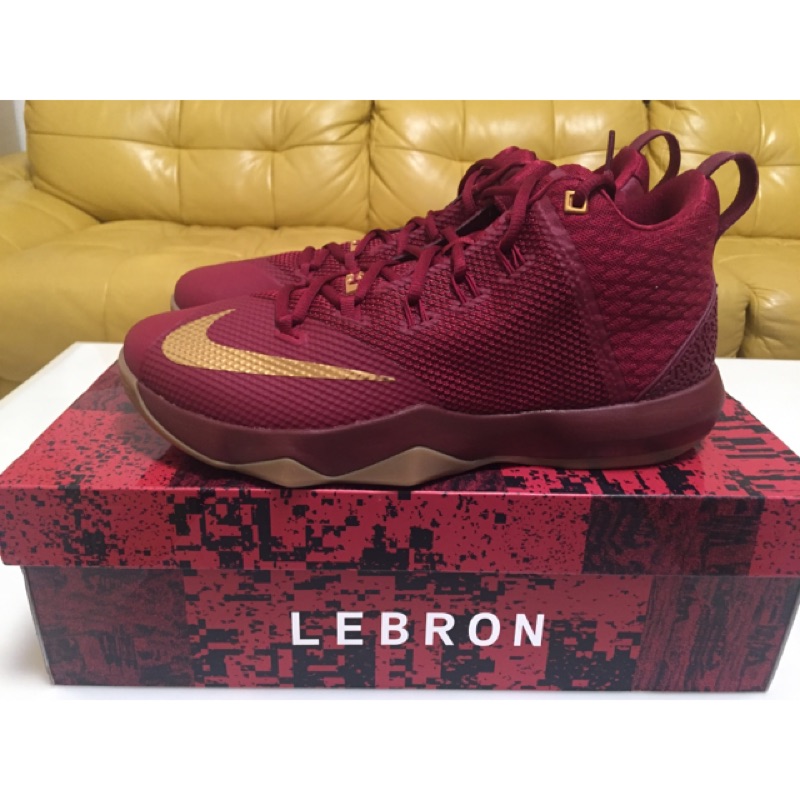 Nike AMBASSADOR IX 大使9 LBJ US10.5