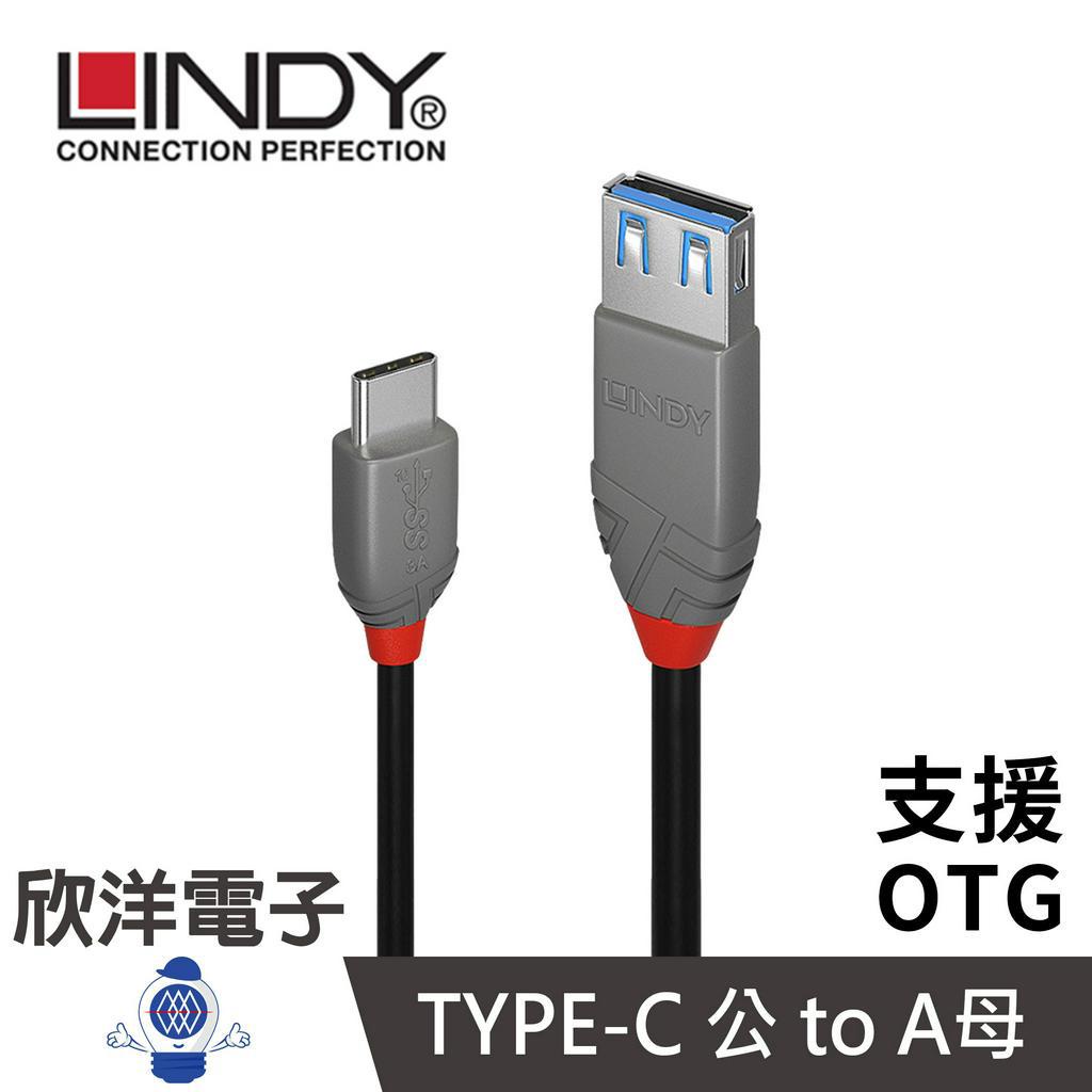 LINDY台中旗艦店 USB 3.2GEN2 TYPE-C 公TO TYPE-A 母 OTG傳輸線 (36895_B)