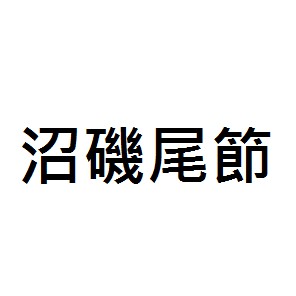 上興 沼磯磯釣竿 尾節訂購區