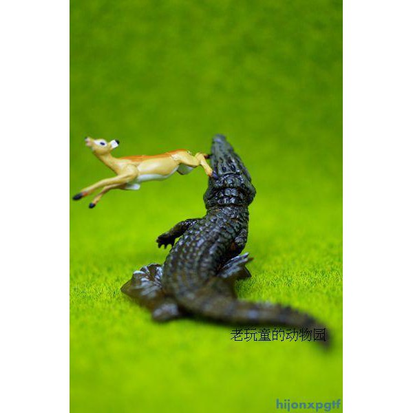 動物扭蛋 拍賣 評價與ptt熱推商品 21年5月 飛比價格