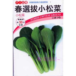 【萌田種子~中包】E62 春選抜小松菜種子35公克 , 耐高溫 , 耐寒 , 耐乾燥 ,每包190元~