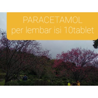 paracetamol per lembar isi 10 tablet