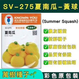 【萬樹種子】 SV-275 夏南瓜-黃球 節瓜 櫛瓜 特選蔬果種子 農友種苗 彩色密封 原廠包裝