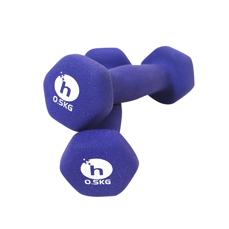 【Healgenart】韻律運動啞鈴(0.5kg)成對 一對共1kg 有氧健身瑜珈 超舒適握感 瘦手臂(紫色)
