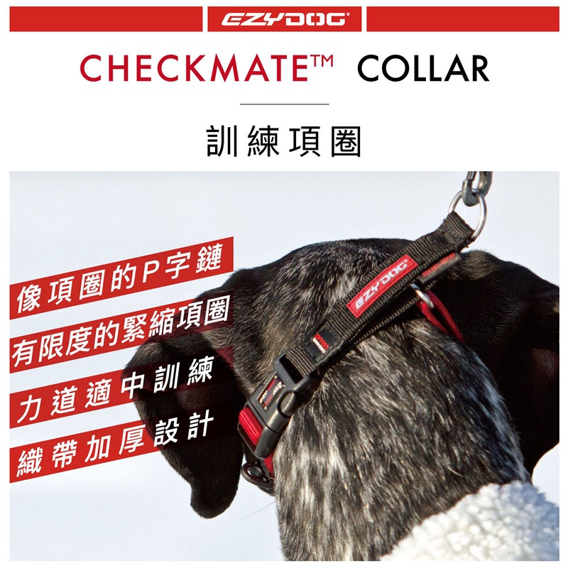 【WAWA】澳洲EZYDOG 訓練項圈 checkmate collar 寵物項圈 犬用 項圈 頸圈 S-XL 外出用品