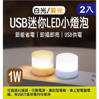 USB迷你LED小燈泡 隨身照明 節能環保USB-LED照明小夜燈 可接行動電源(2入)