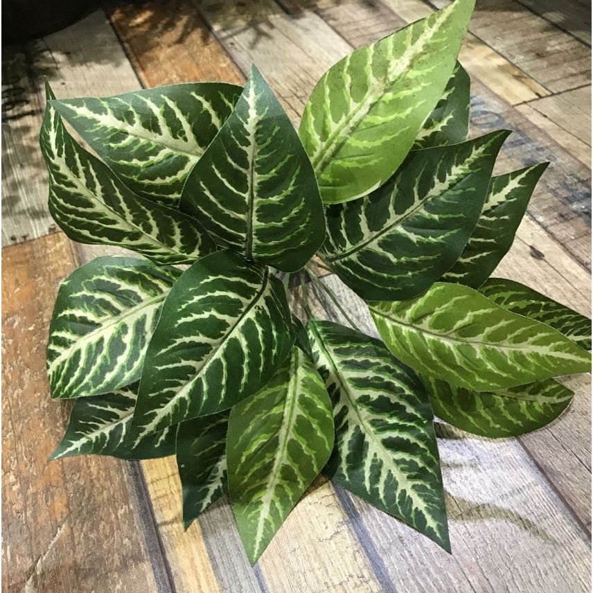 仿真花 彼岸花 16葉斑馬葉仿真綠葉綠植盆景仿真植物墻配草仿真花 蝦皮購物