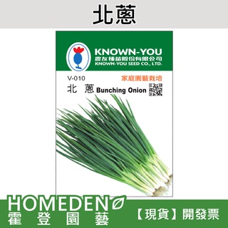 【隔日到貨】北蔥 V-010 蔬菜種子 農友牌 小包裝種子 約200粒/包【HOMEDEN霍登園藝】