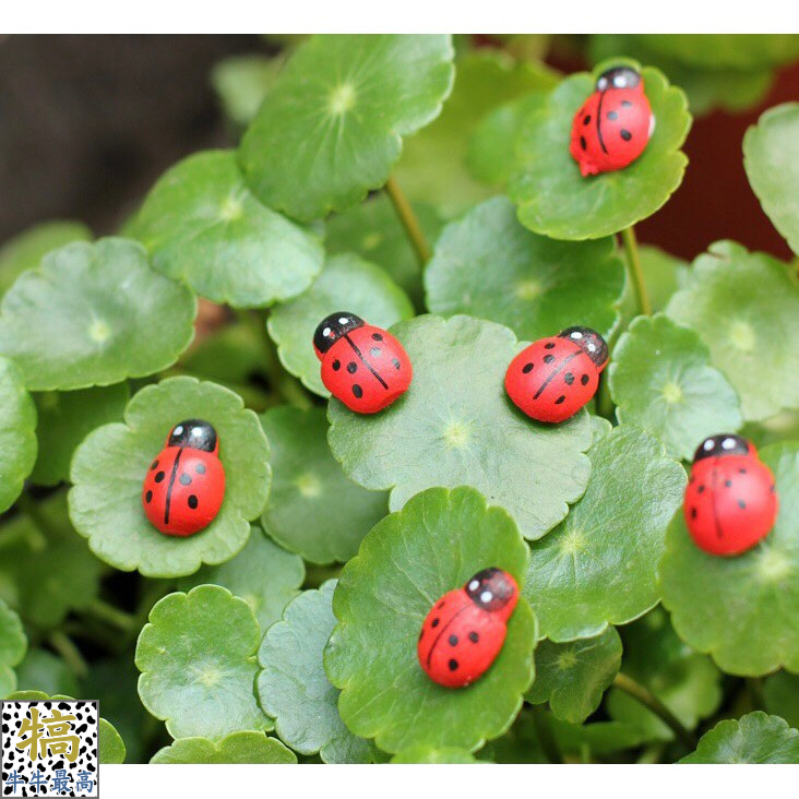 現貨-小昆蟲擺飾 微景觀擺件 盆栽裝飾 多肉植物 迷你園藝 小甲蟲 瓢蟲 蜜蜂 小銬企業