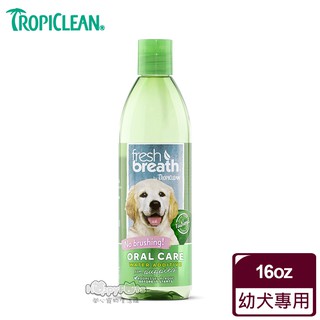 領卷再折【Fresh breath 鮮呼吸】 潔牙水(幼犬適用)16oz 毛貓寵