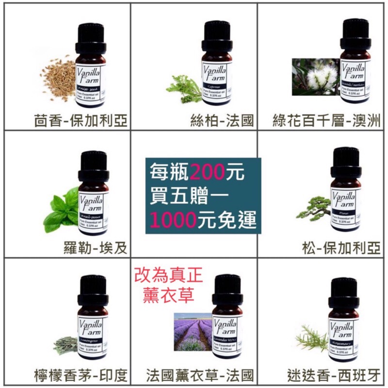 純精油茴香羅勒檸檬香茅絲柏葡萄柚薰衣草綠花百千層松迷迭香茶樹樺樹百里香苦橙薑丁香10ml 蝦皮購物