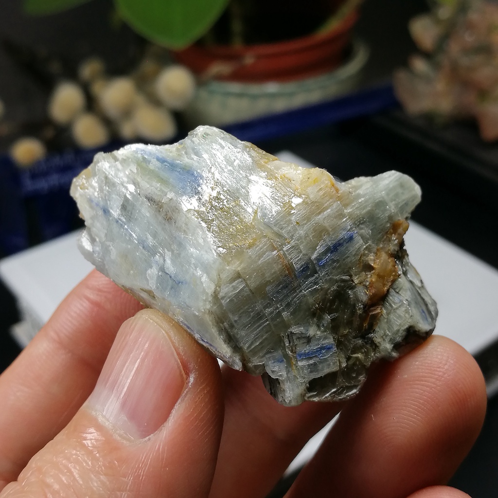 [友克鑫礦業]da78約重32.8g-藍晶石原礦 Kyanite 無加工天然晶礦