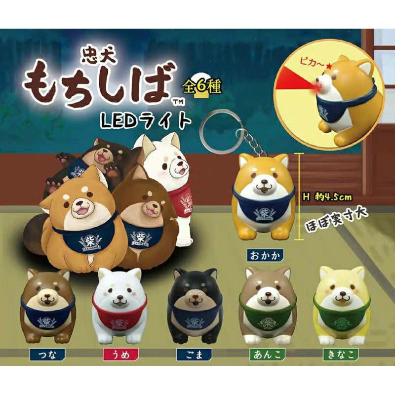 日本正版《全6種》 SK JAPAN 忠犬麻糬柴犬公仔 扭蛋 轉蛋  忠犬もちしば LED燈鑰匙圈 吊飾