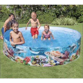 🐬 INTEX 硬膠泳池 免充氣 泳池 家庭號 兒童遊戲水池 家庭號 親子 戶外活動用品 泳池 球池 玩具 夏日消暑