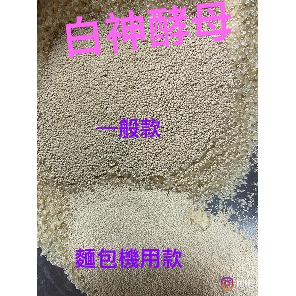 【阿肥的店】日本 白神 特級酵母 VS. 麵包機 用 日清 天然酵母 野酵母
