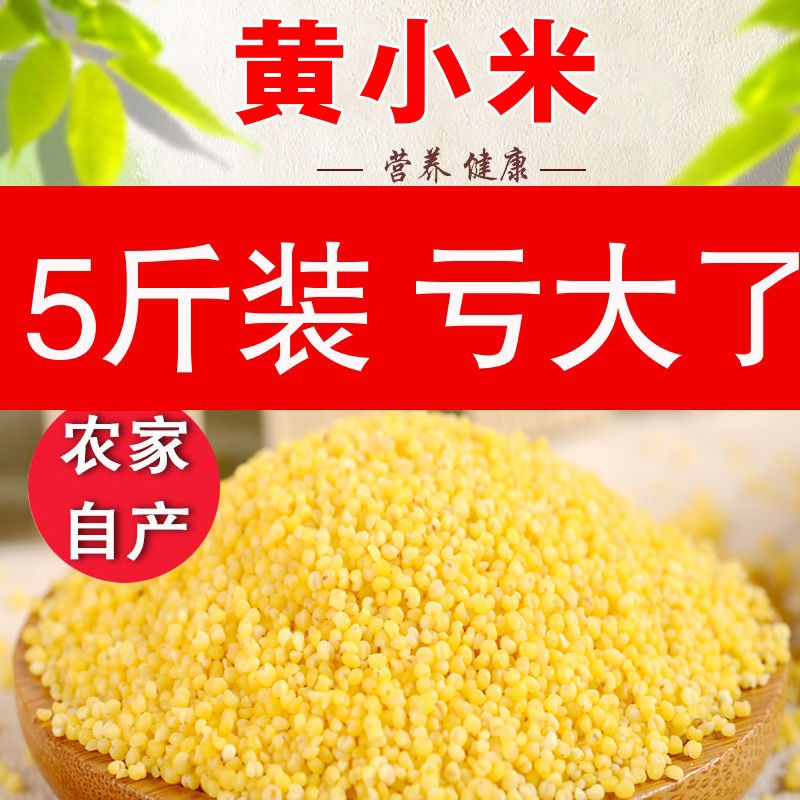 新米小黃米食用黃小米糧食小米粥五谷雜糧月子小米散裝5斤粗糧 蝦皮購物