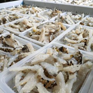澎湖河豚皮解凍即可食用 蝦皮購物