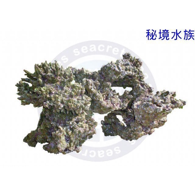 ♋ 秘境水族 ♋【美國CORAL REEF】珊瑚礁 人工活石 假活石 仿真活石 裝飾 繁殖 人工珊瑚