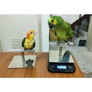 鸚鵡體重計電子秤防水高精度食物秤 鸚鵡不鏽鋼站台桌上型