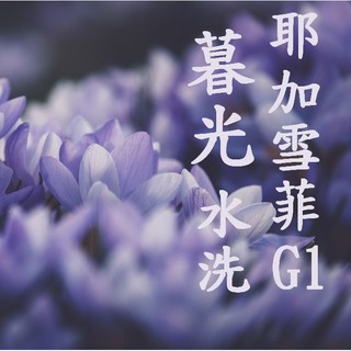 (2024再新一批次!!豆貌超級漂亮!) 獵豆工坊🐆 衣索比亞 耶加雪菲 G1 水洗 暮光處理廠 咖啡生豆 500G
