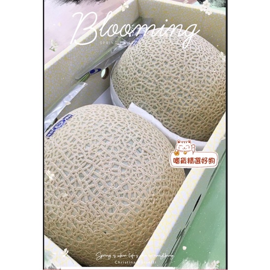 日本頂級靜岡哈蜜瓜 北海道哈蜜瓜 高知哈蜜瓜溫室日本哈密瓜🍈免運