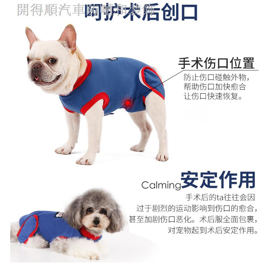 現貨免運 寵物衣服ஐ Doglem多樂米寵物術后衣狗狗絕育服手術衣保護傷口斷奶護肚防舔抓 蝦皮購物