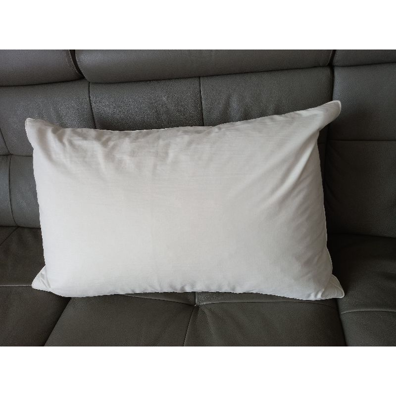 BBL Premium高級側立羽毛枕 枕頭 8成8新